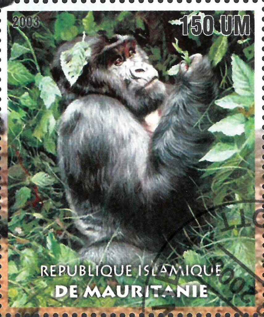 The Nature Conservancy