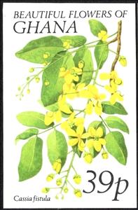 Stamp, Cassia fistula, Ghana,  , Flowers, Plants (Flora)
