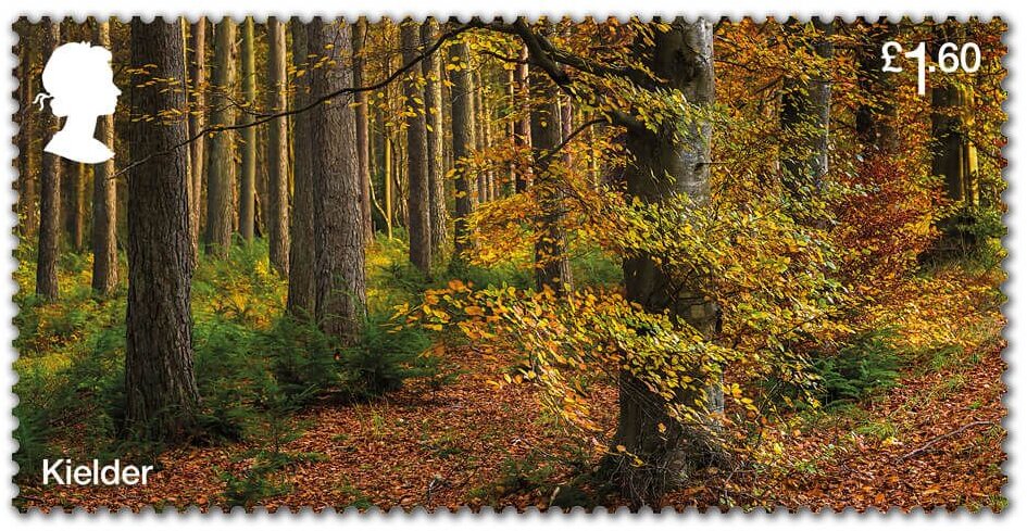 Glenariff Forest/Kielder Forest