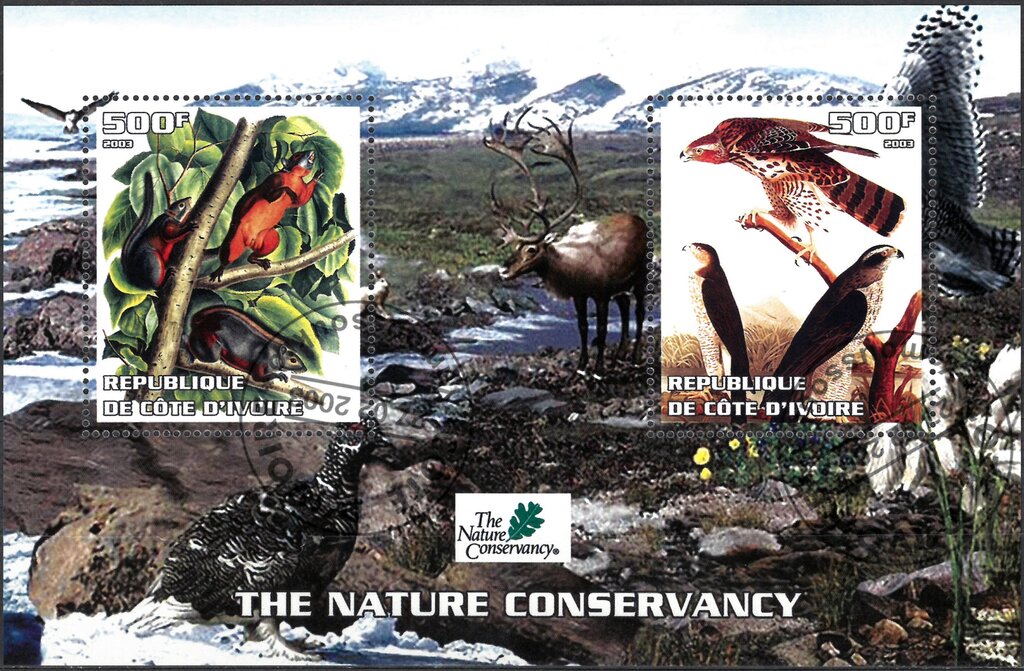 The Nature Conservancy