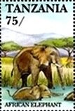 African Elephant (Loxodonta africana)
