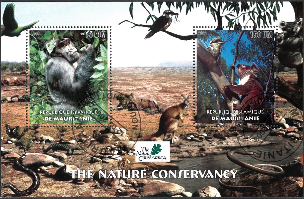 The Nature Conservancy