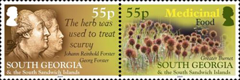 Se-tenant, Medicinal Foods, Falkland Islands, Dependencies,  , Food, Plants (Flora), Scientists