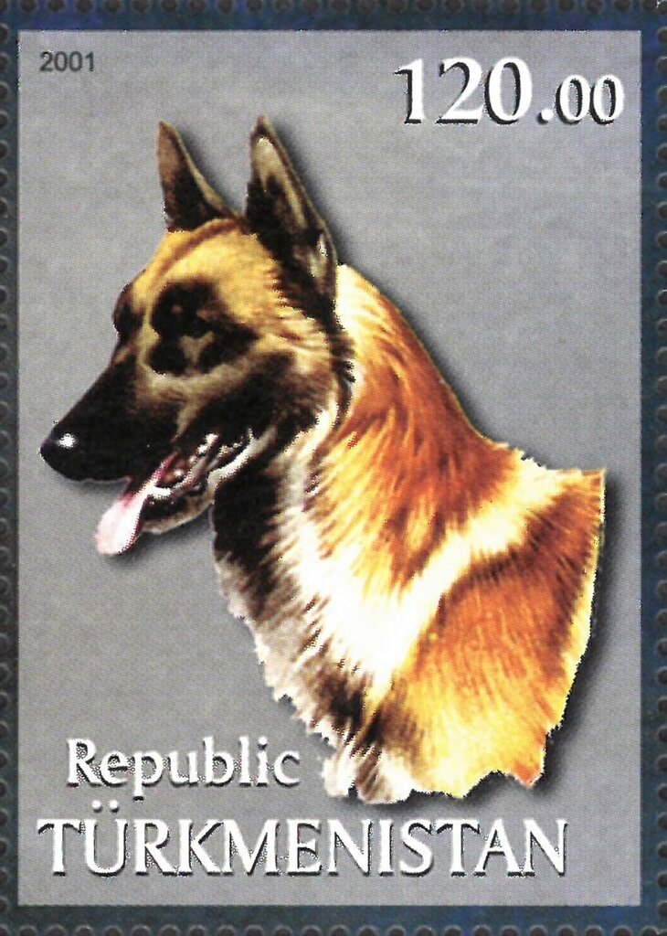 Dog