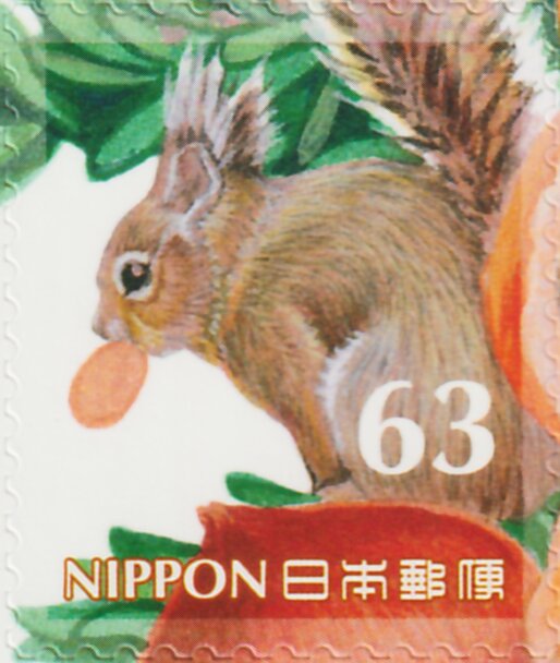 Squirrel