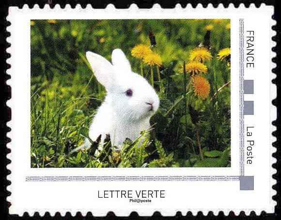 Rabbits