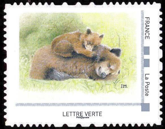 Brown bear