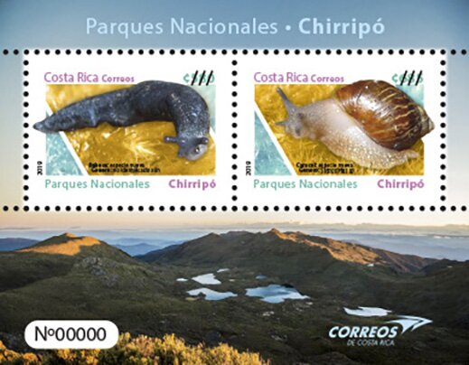 Chirripó National Park