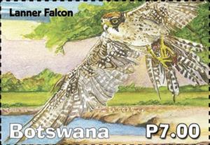 Stamp, Lanner Falcon, Botswana,  , Animals (Fauna), Birds of Prey, Falcons