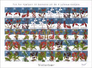 Winter Time Berries