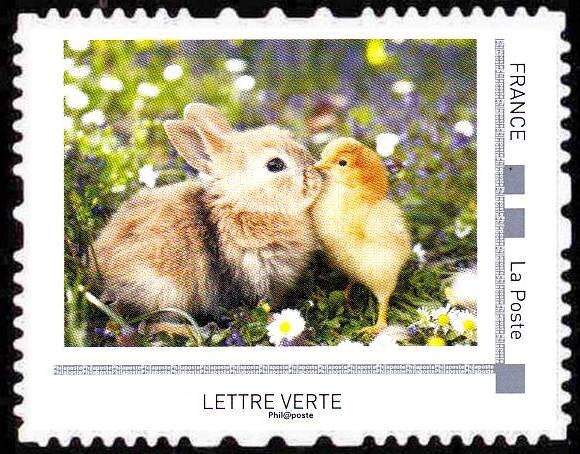 Rabbits
