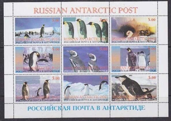 Penguins