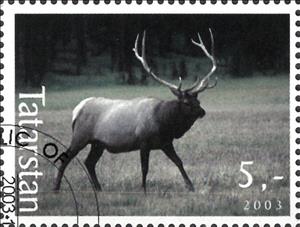 Stamp, Deer, Cinderellas,  , Animals (Fauna), Deer, Mammals