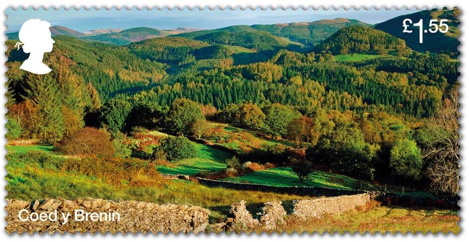 Coed y Brenin