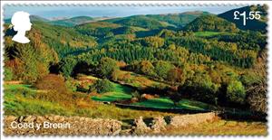 Stamp, Coed y Brenin, United Kingdom of Great Britain & Northern Ireland,  , Forests, Landscapes, Trees