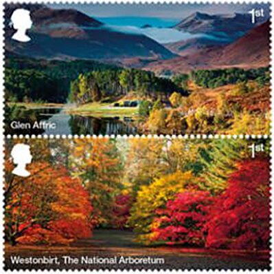Glen Affric/Westonbirt