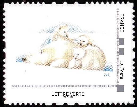 Polar Bear