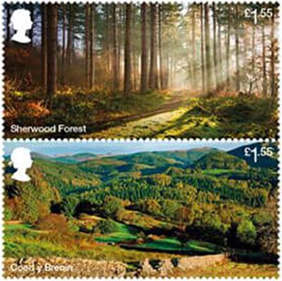 Sherwood Forest/Coed y Brenin