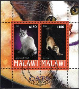Mini Sheet, Cats, Cinderellas,  , Animals (Fauna), Cats, Mammals