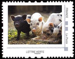 Stamp, Pig, France,  , Animals (Fauna), Mammals, Pigs
