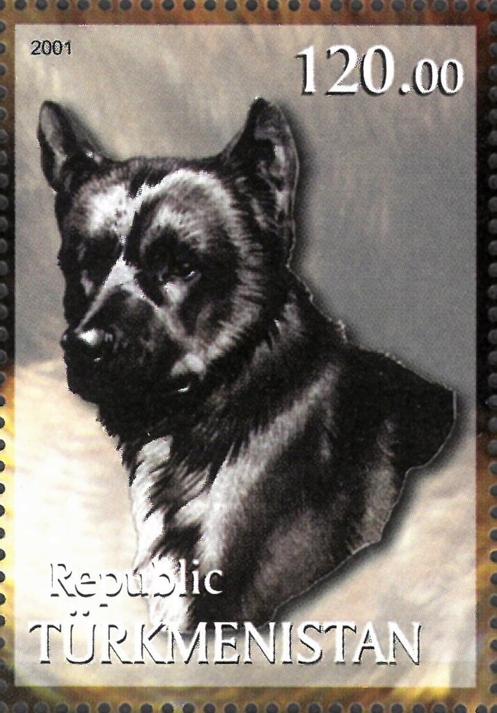 Dog
