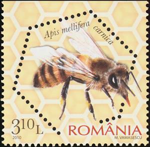 Stamp, Carniolan Honey Bee (Apis mellifera carnica), Romania,  , Animals (Fauna), Bees, Insects