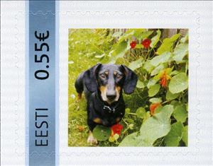 Stamp, Taks, Personalized and Private Mail Stamps,  , Animals (Fauna), Dogs, Mammals