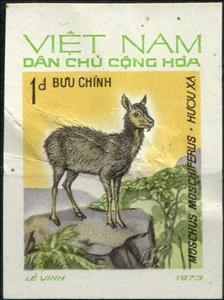 Stamp, Siberian Musk Deer (Moschus moschiferus), Vietnam,  , Animals (Fauna), Deer, Mammals