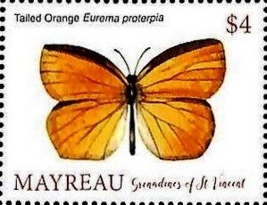 Stamp, Eurema proterpia, Saint Vincent Grenadines,  , Animals (Fauna), Butterflies, Insects