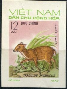 Stamp, Java Mousedeer (Tragulus javanicus), Vietnam,  , Animals (Fauna), Deer, Mammals
