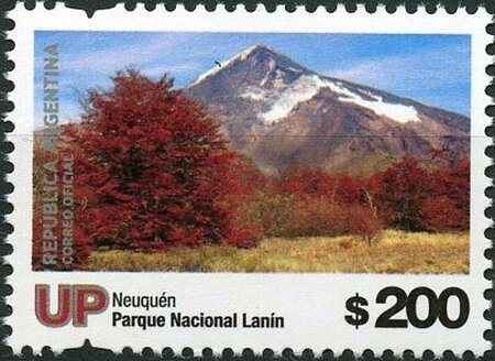 Lanin National Park, Neuquen