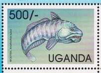 Stamp, Atlantic Wolffish (Anarhichas lupus), Uganda,  , Fishes, International Years, Sea Life