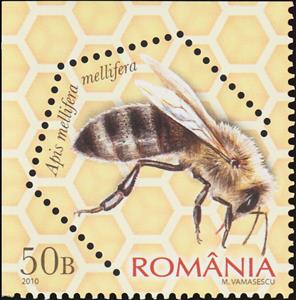 Stamp, Dark European Honey Bee (Apis mellifera mellifera), Romania,  , Animals (Fauna), Bees, Insects