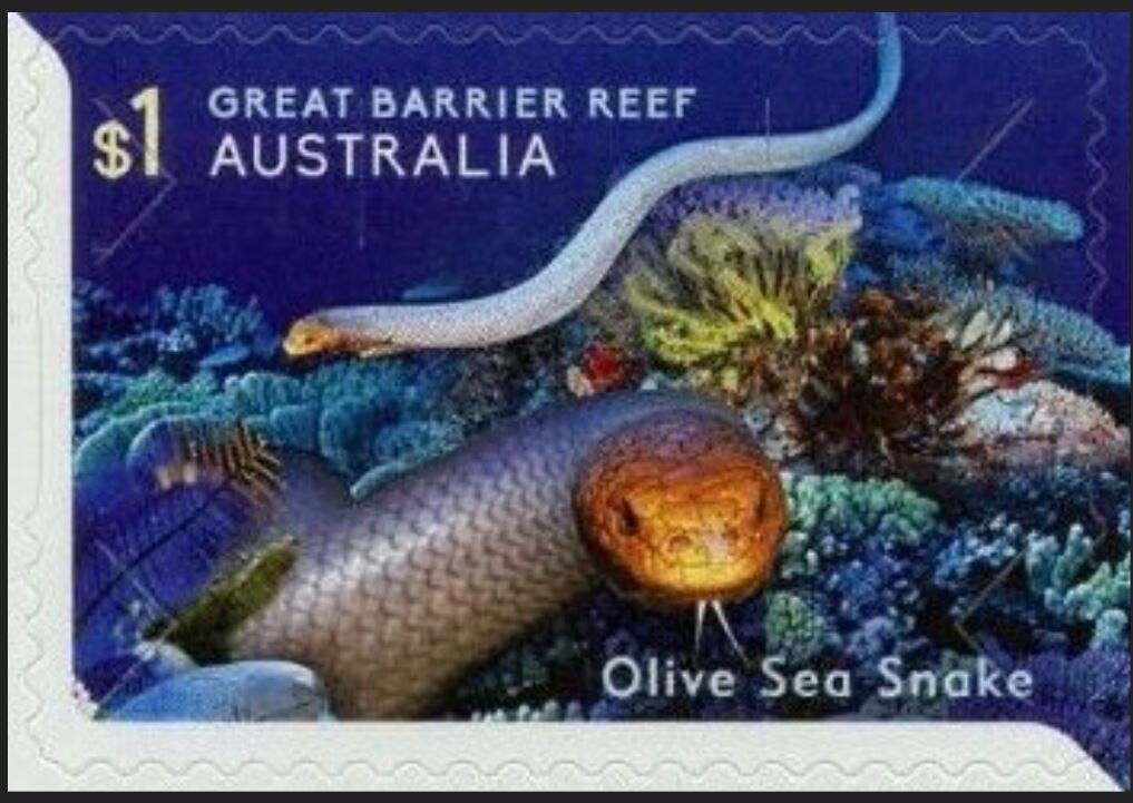 Olive Sea Snake