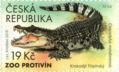 Philippine Crocodile (Crocodylus mindorensis)