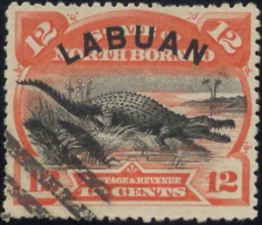 Saltwater Crocodile (Crocodylus porosus)