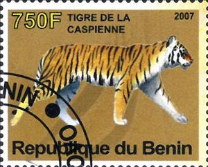 Stamp, Tigre de la Caspienne, Cinderellas,  , Animals (Fauna), Mammals, Tigers