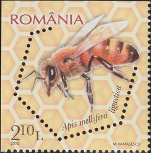Stamp, Italian Honey Bee (Apis mellifera ligustica), Romania,  , Animals (Fauna), Bees, Insects