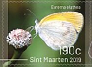 Butterflies of Sint Maarten