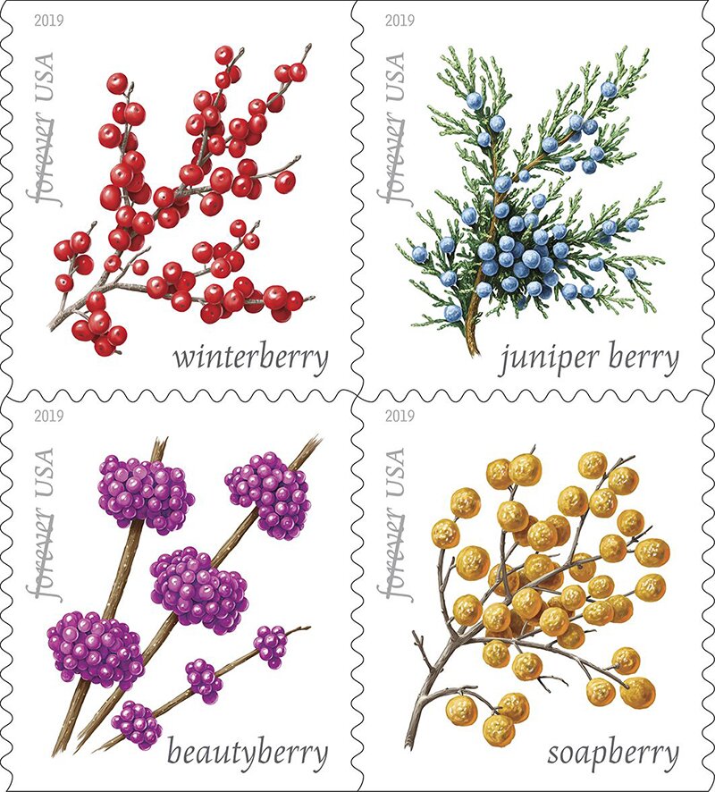 Winter Berries