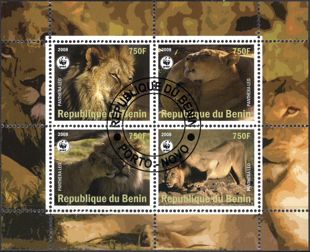 Panthera Leo