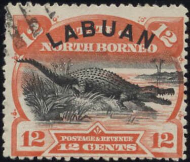 Saltwater Crocodile (Crocodylus porosus)