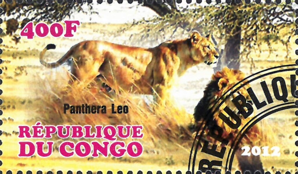 Panthera Leo