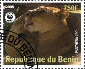 Stamp, Panthera Leo, Cinderellas,  , Animals (Fauna), Mammals
