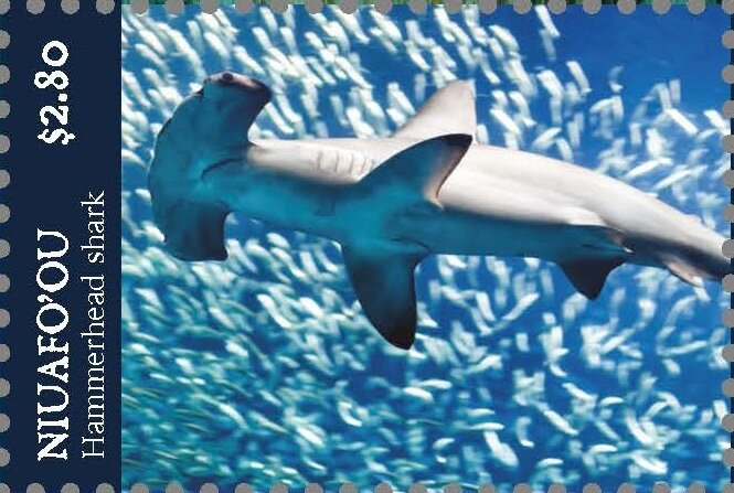 Hammerhead Shark