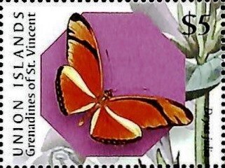 Dryas julia