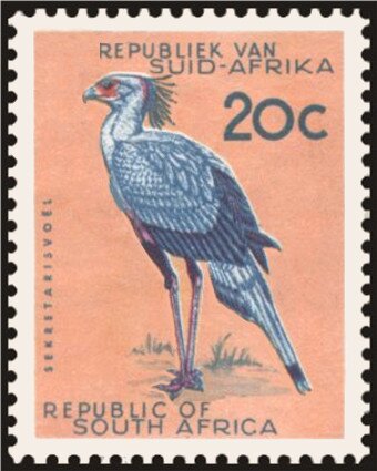 Secretary Bird (Sagittarius serpentarius)