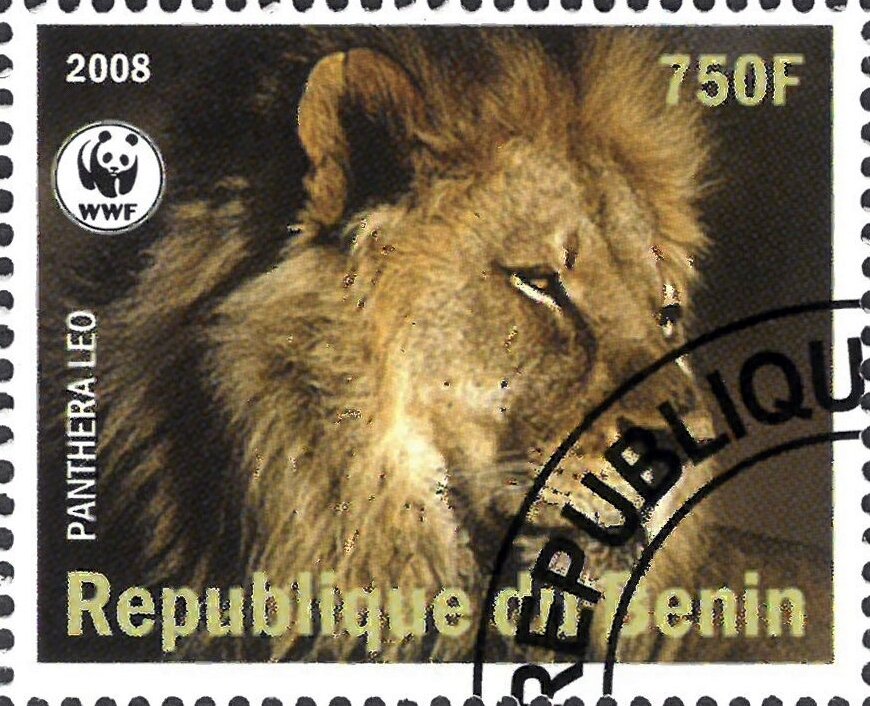 Panthera Leo
