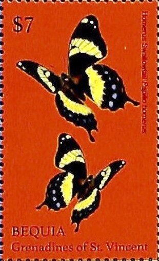 Papilio homerus
