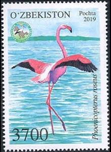 Stamp, Greater Flamingo (Phoenicopterus roseus), Uzbekistan,  , Animals (Fauna), Birds, Flamingos